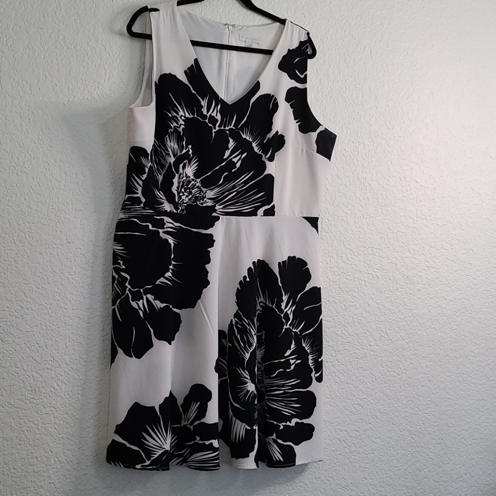 Black and White Dress